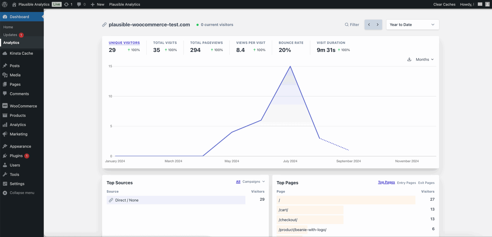 Plausible Analytics within a WordPress dashboard Plausible Analytics within a WordPress dashboard